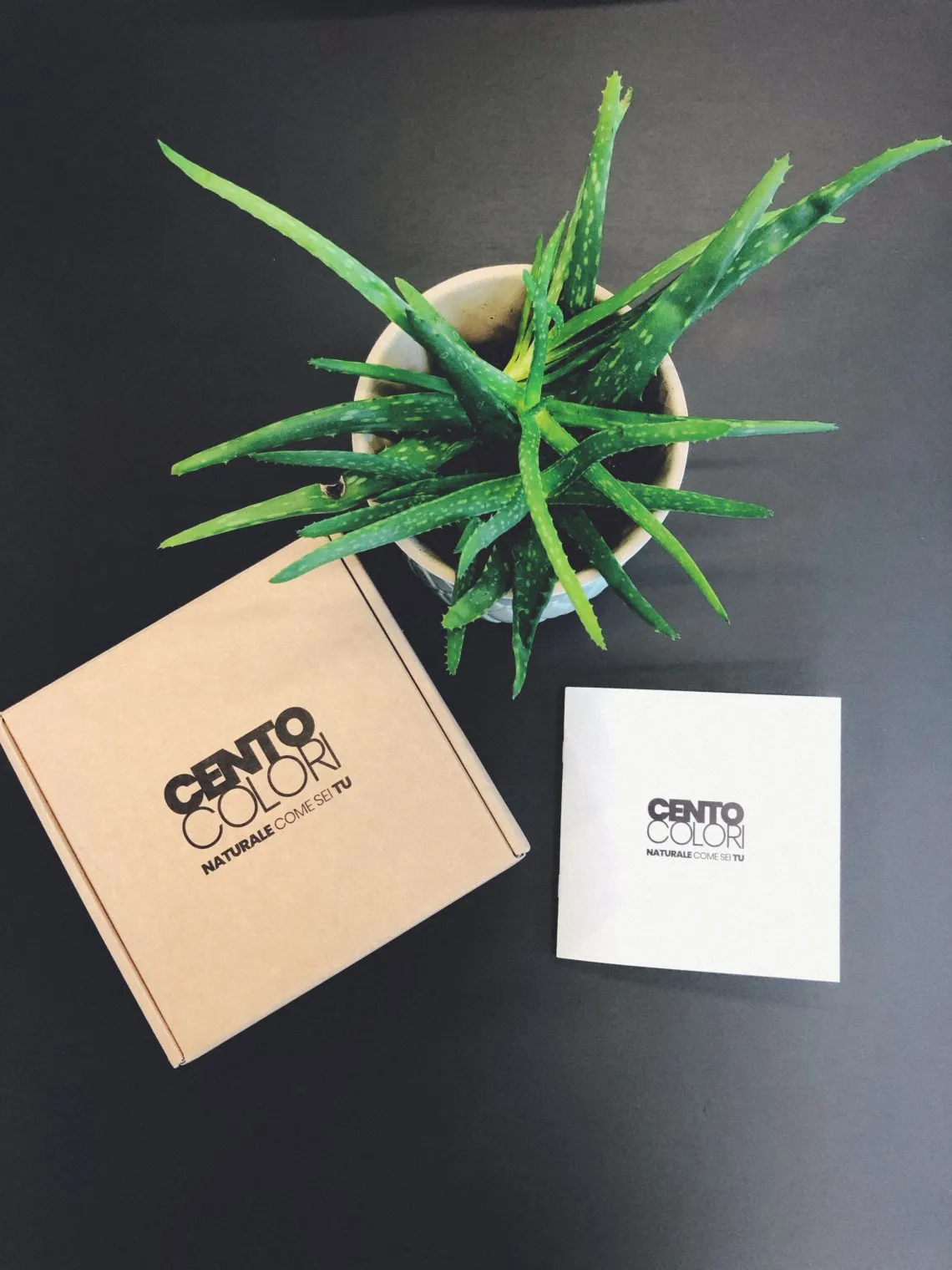 Confezione e libretto della linea cosmetica Cento Colori accanto a una pianta di aloe vera su fondo scuro