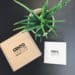 Confezione e libretto della linea cosmetica Cento Colori accanto a una pianta di aloe vera su fondo scuro